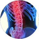 Eric Norguet profile picture